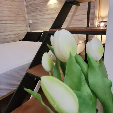 La Salitella Apartament Terracina