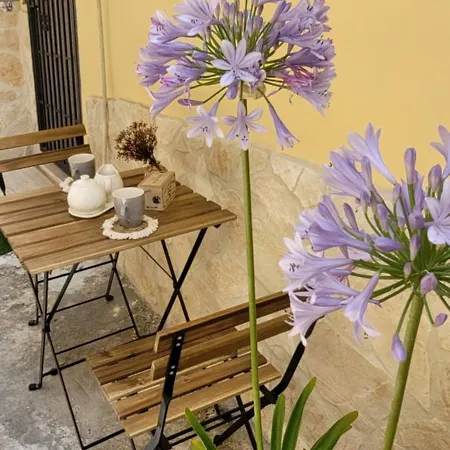 La Salitella Terracina