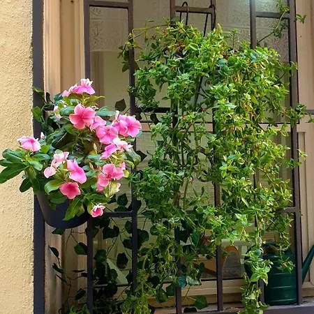 Apartament La Salitella